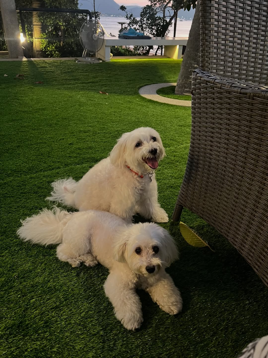 เก๋ - ชลลดา เมฆราตรี