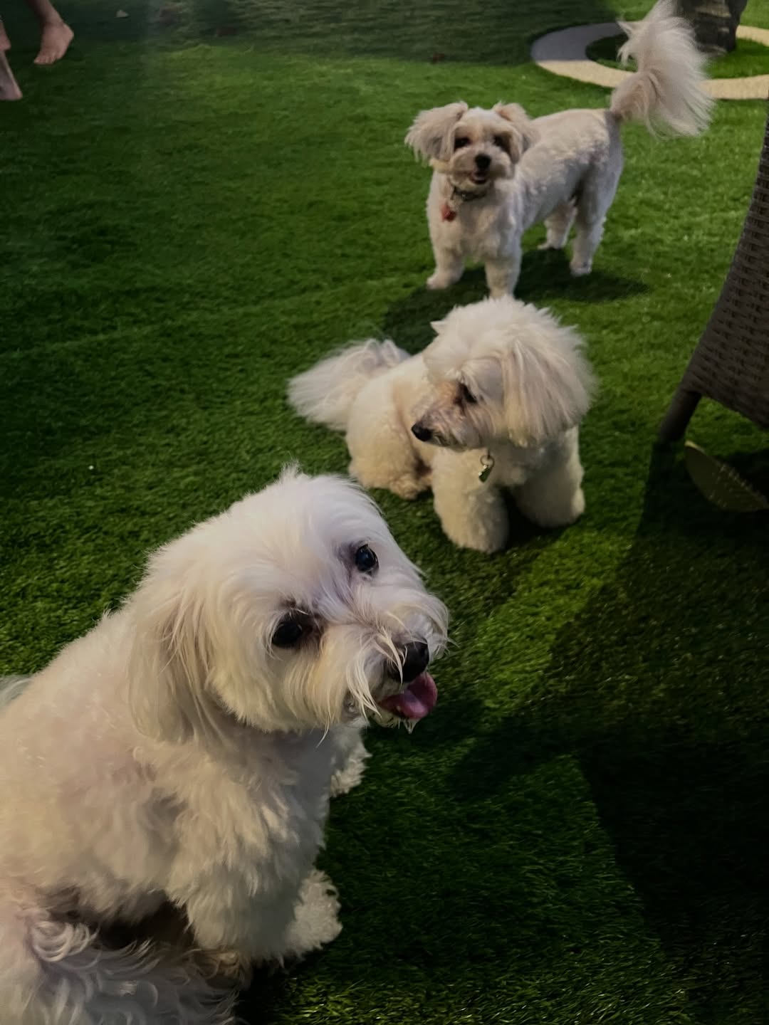 เก๋ - ชลลดา เมฆราตรี