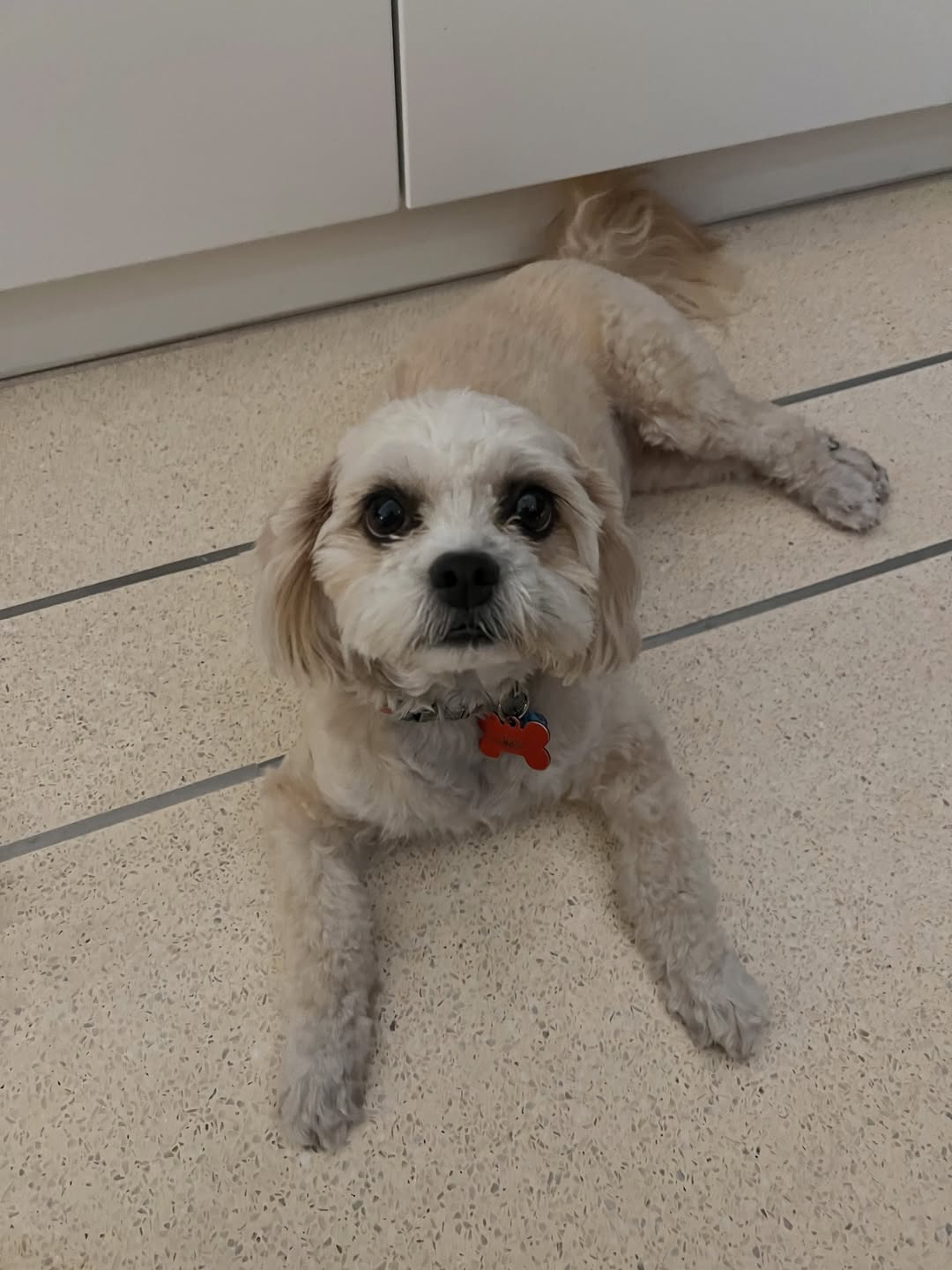 เก๋ - ชลลดา เมฆราตรี