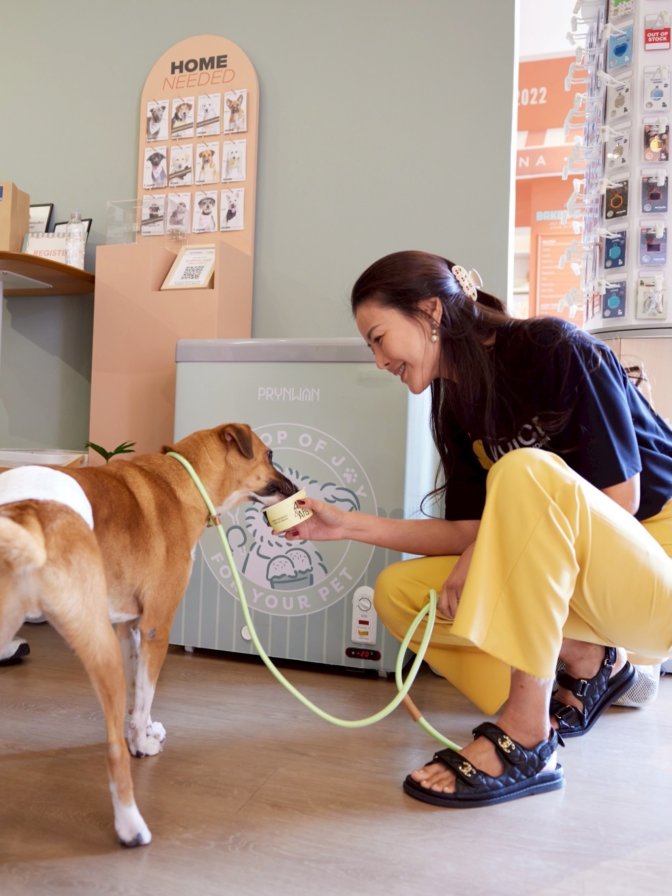 เก๋ - ชลลดา เมฆราตรี