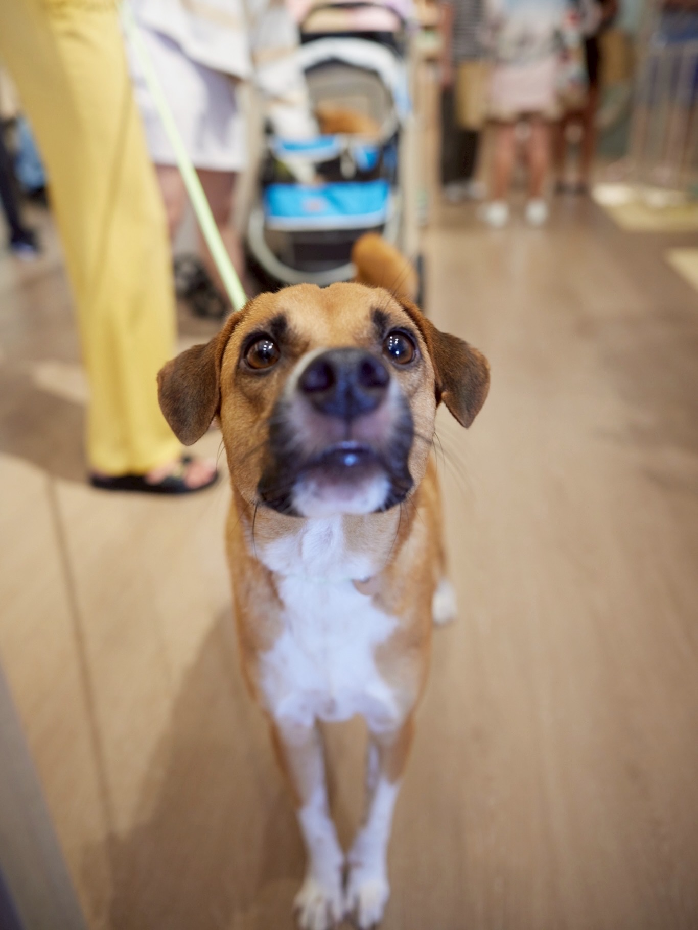 เก๋ - ชลลดา เมฆราตรี