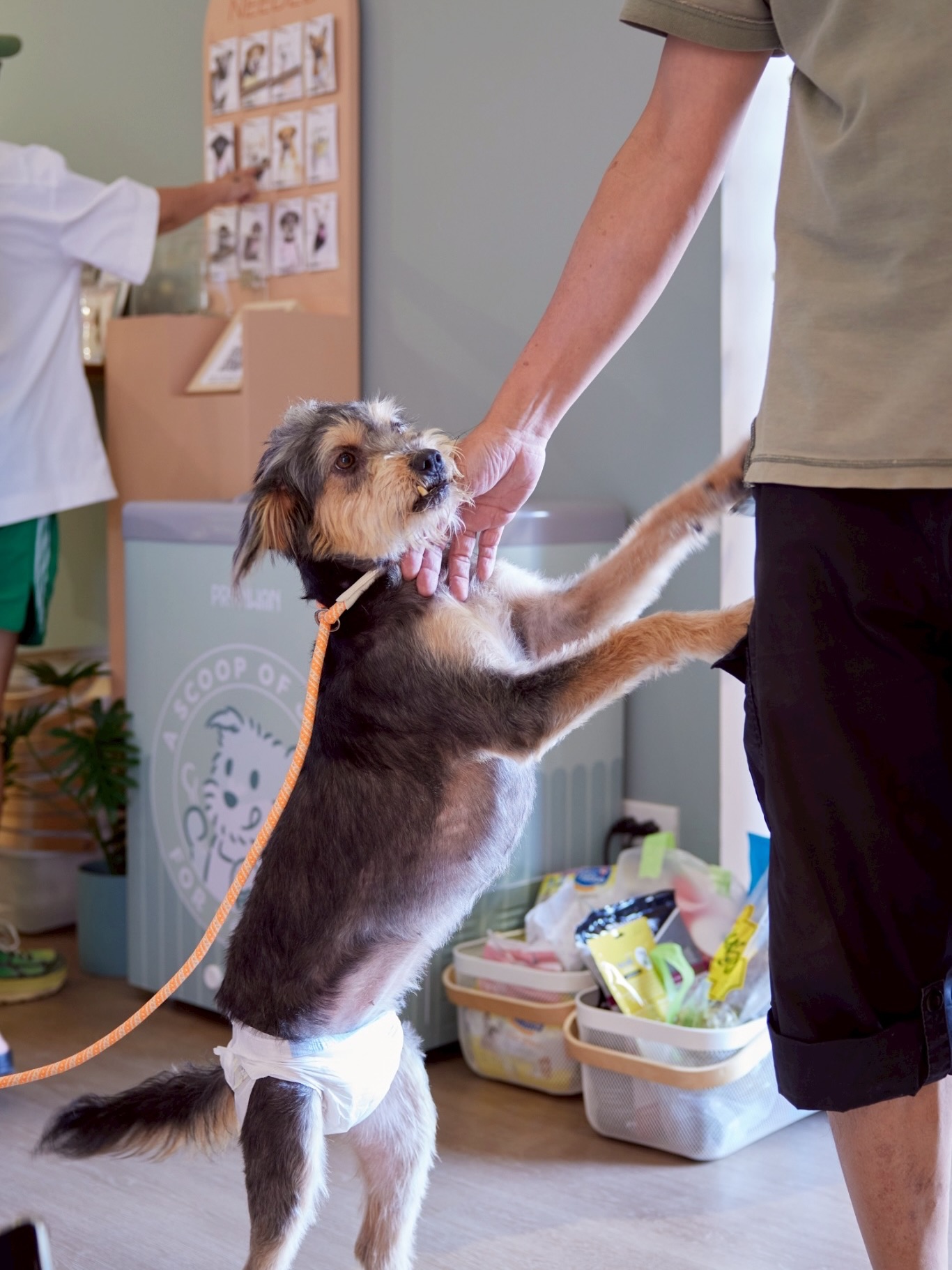 เก๋ - ชลลดา เมฆราตรี