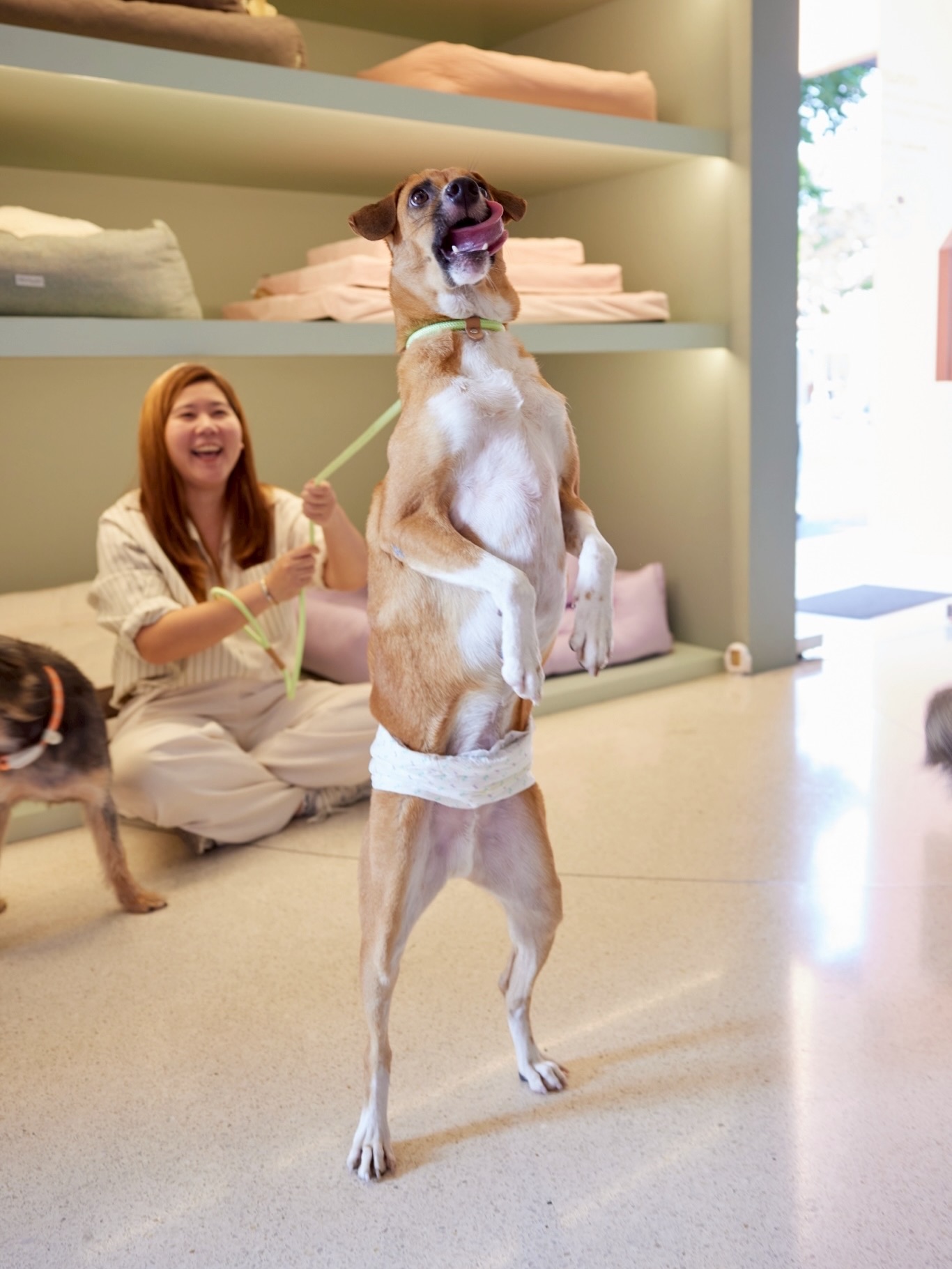 เก๋ - ชลลดา เมฆราตรี