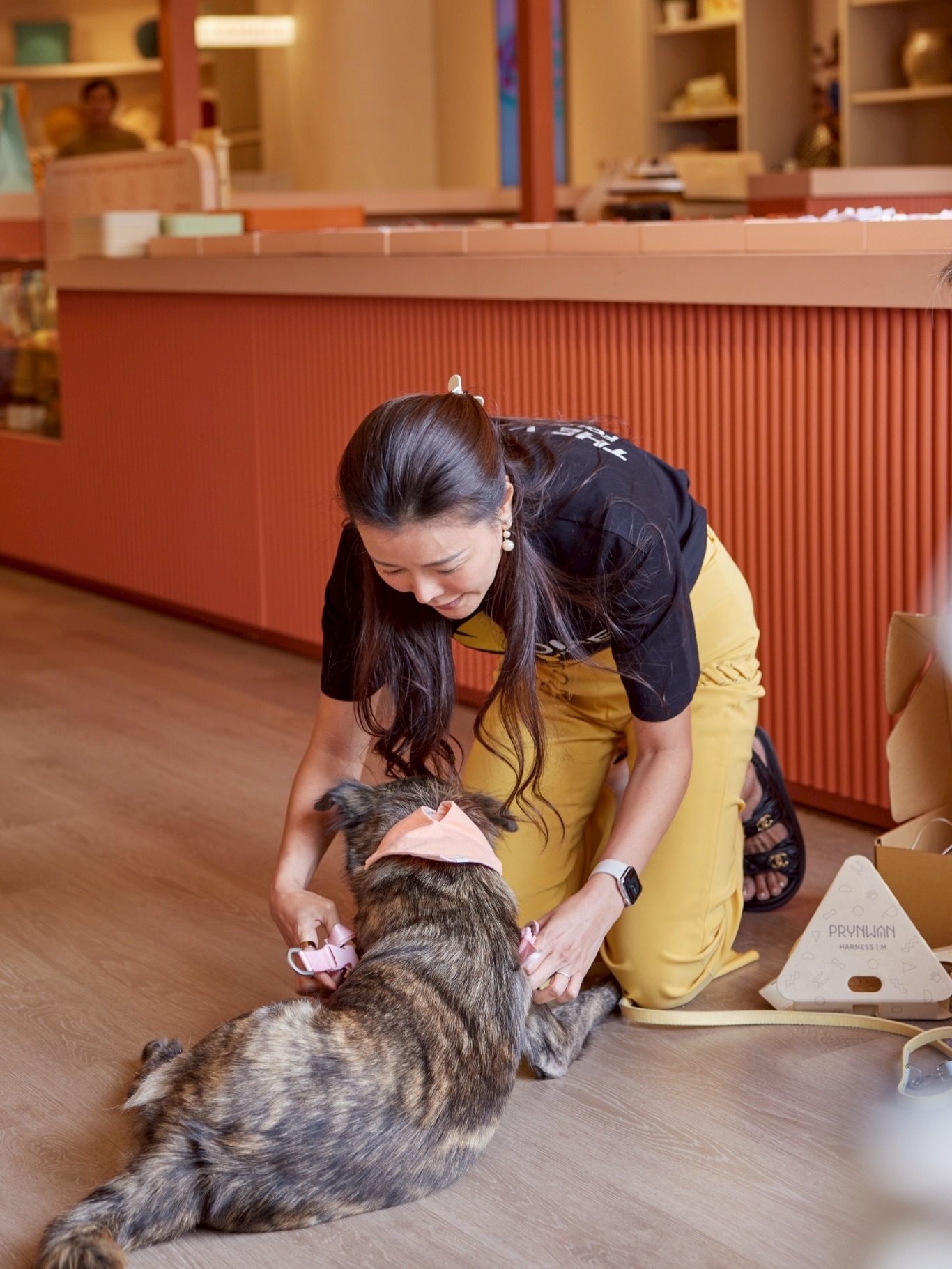 เก๋ - ชลลดา เมฆราตรี