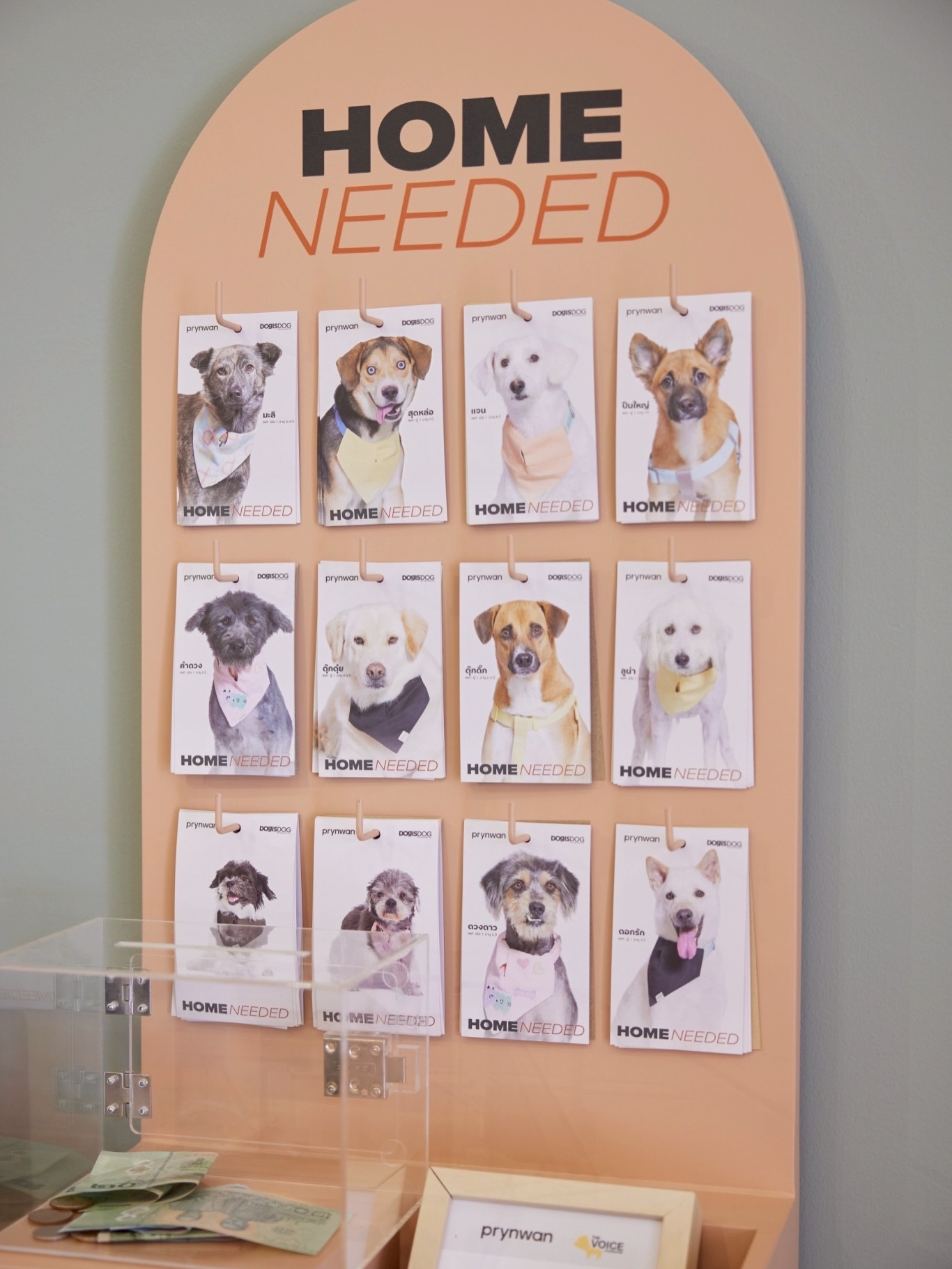 เก๋ - ชลลดา เมฆราตรี