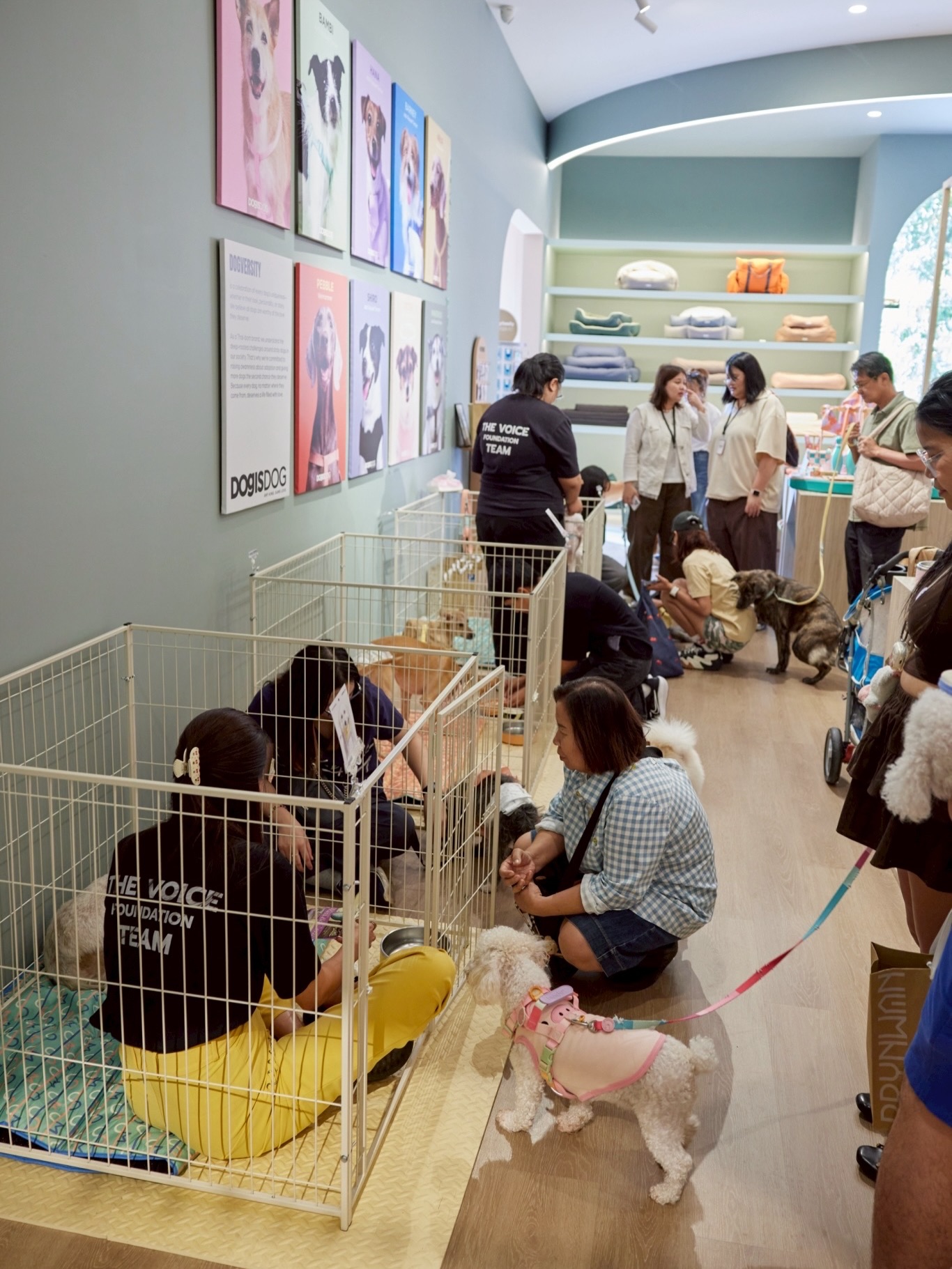 เก๋ - ชลลดา เมฆราตรี