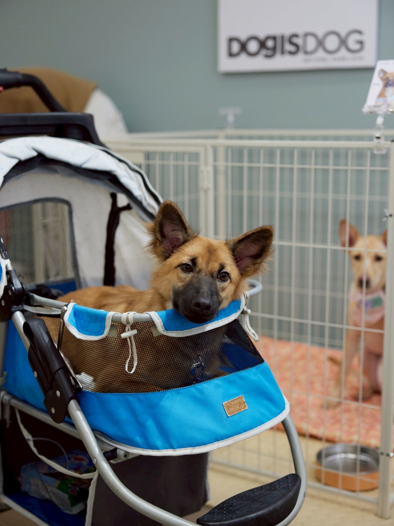 เก๋ - ชลลดา เมฆราตรี