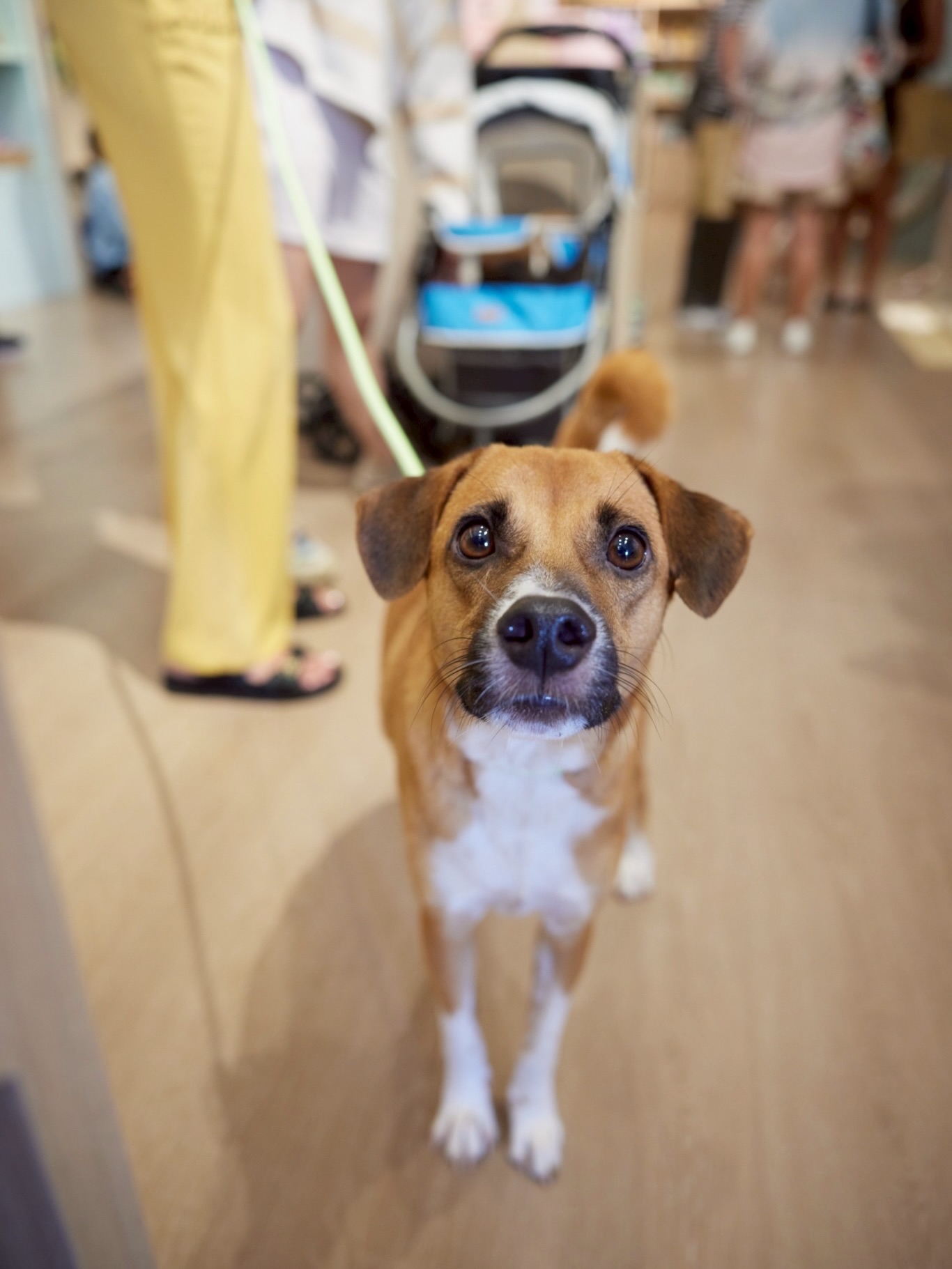 เก๋ - ชลลดา เมฆราตรี