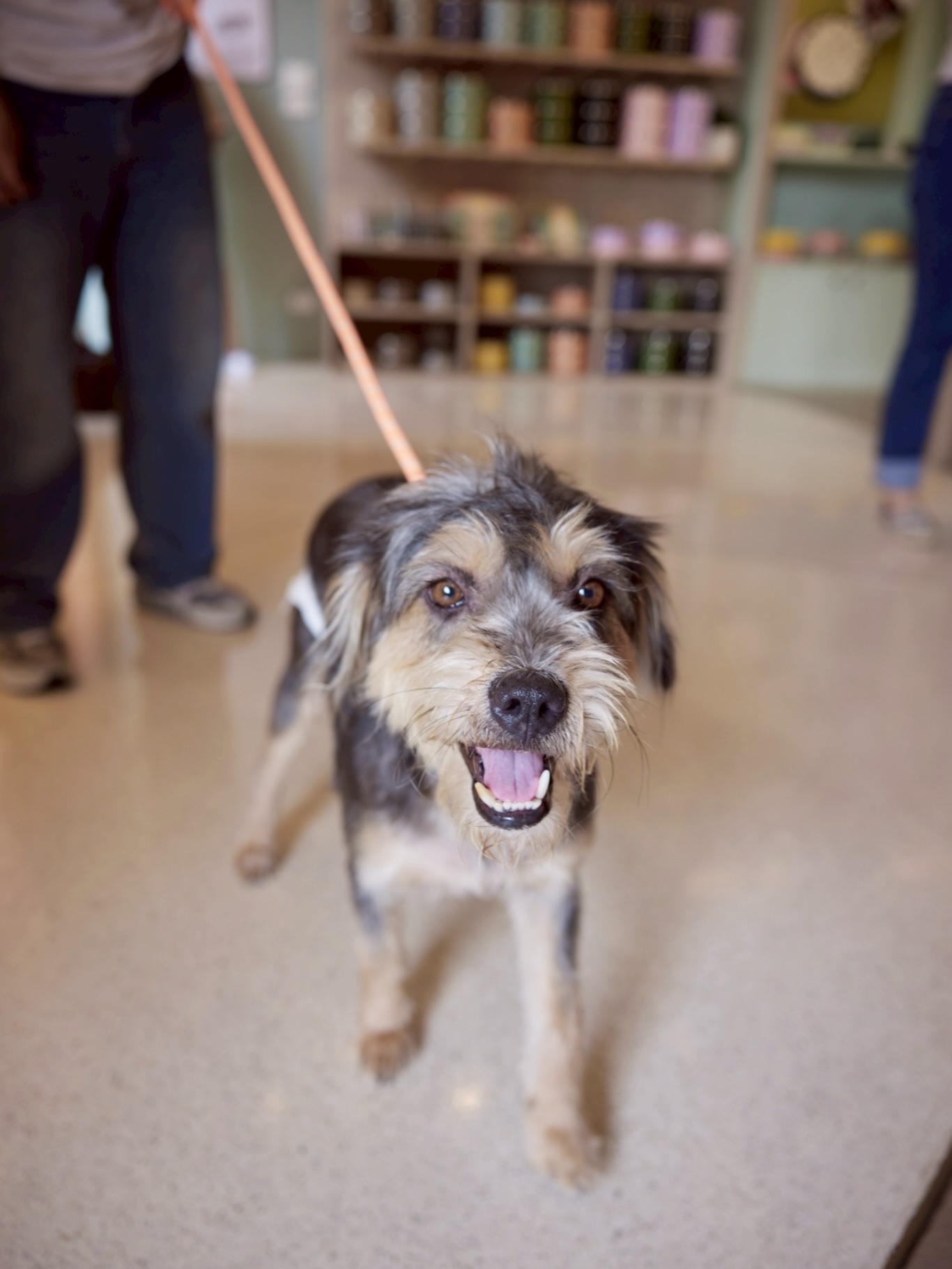 เก๋ - ชลลดา เมฆราตรี