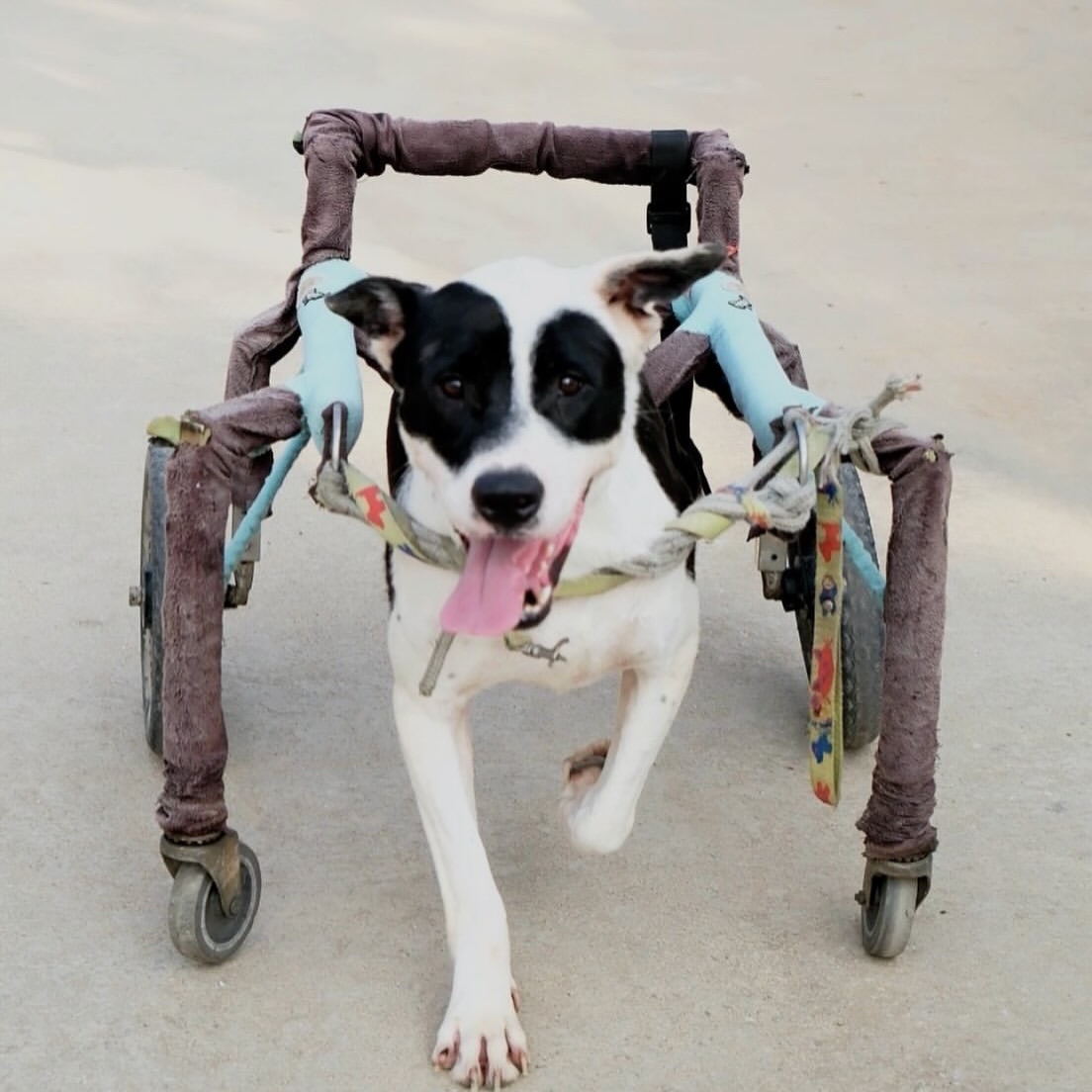 เก๋ - ชลลดา เมฆราตรี