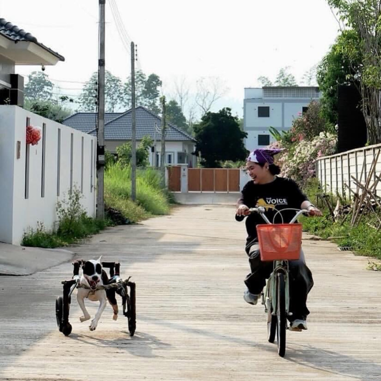 เก๋ - ชลลดา เมฆราตรี