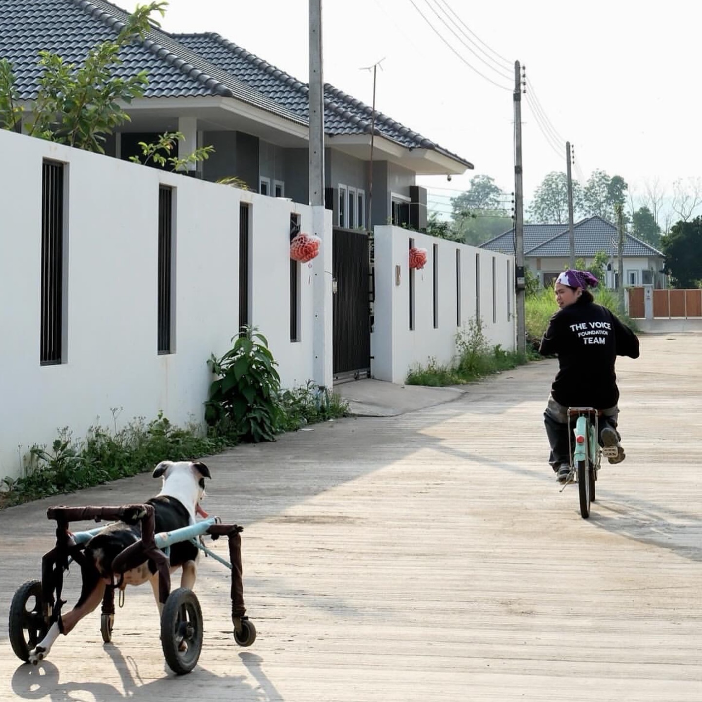 เก๋ - ชลลดา เมฆราตรี