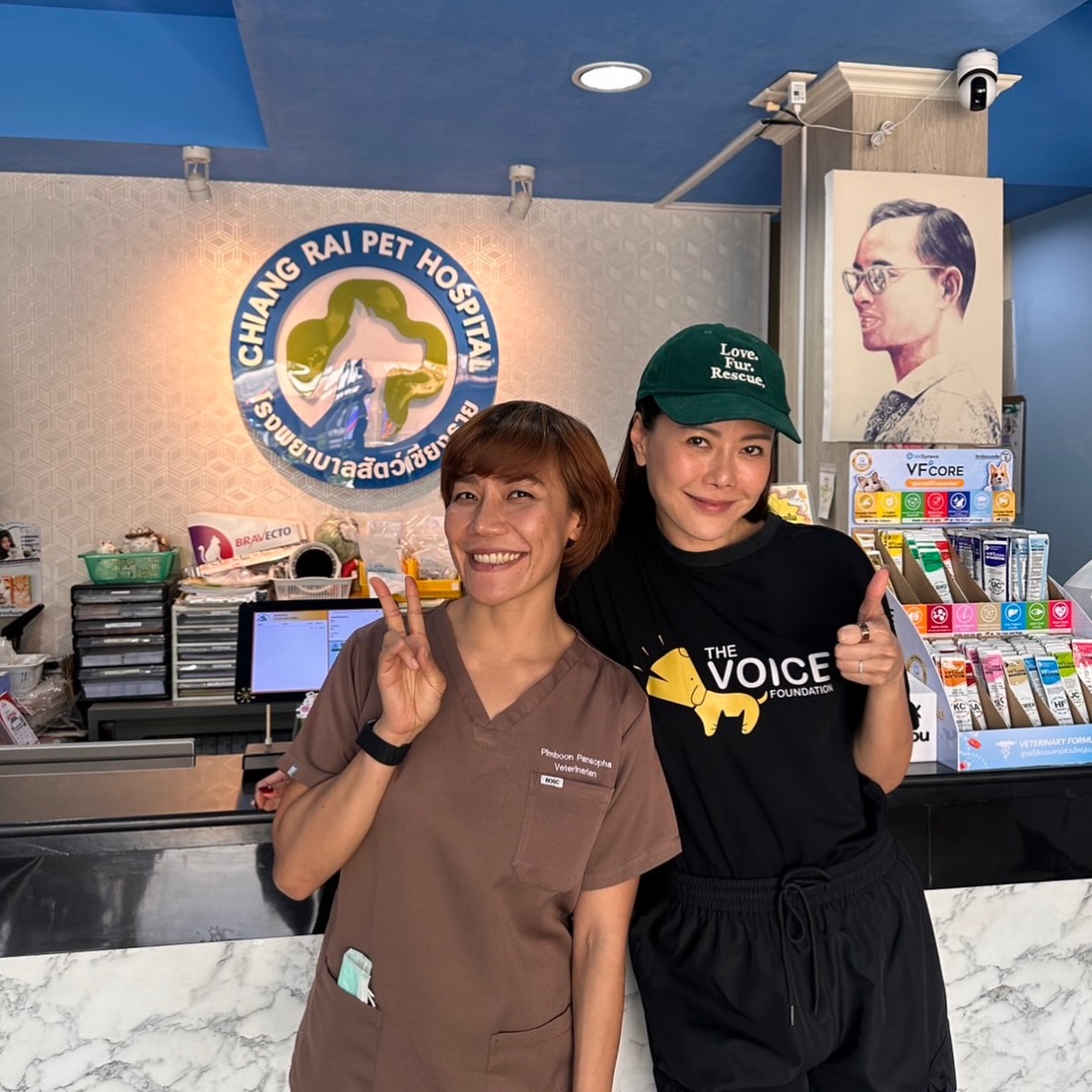 เก๋ - ชลลดา เมฆราตรี