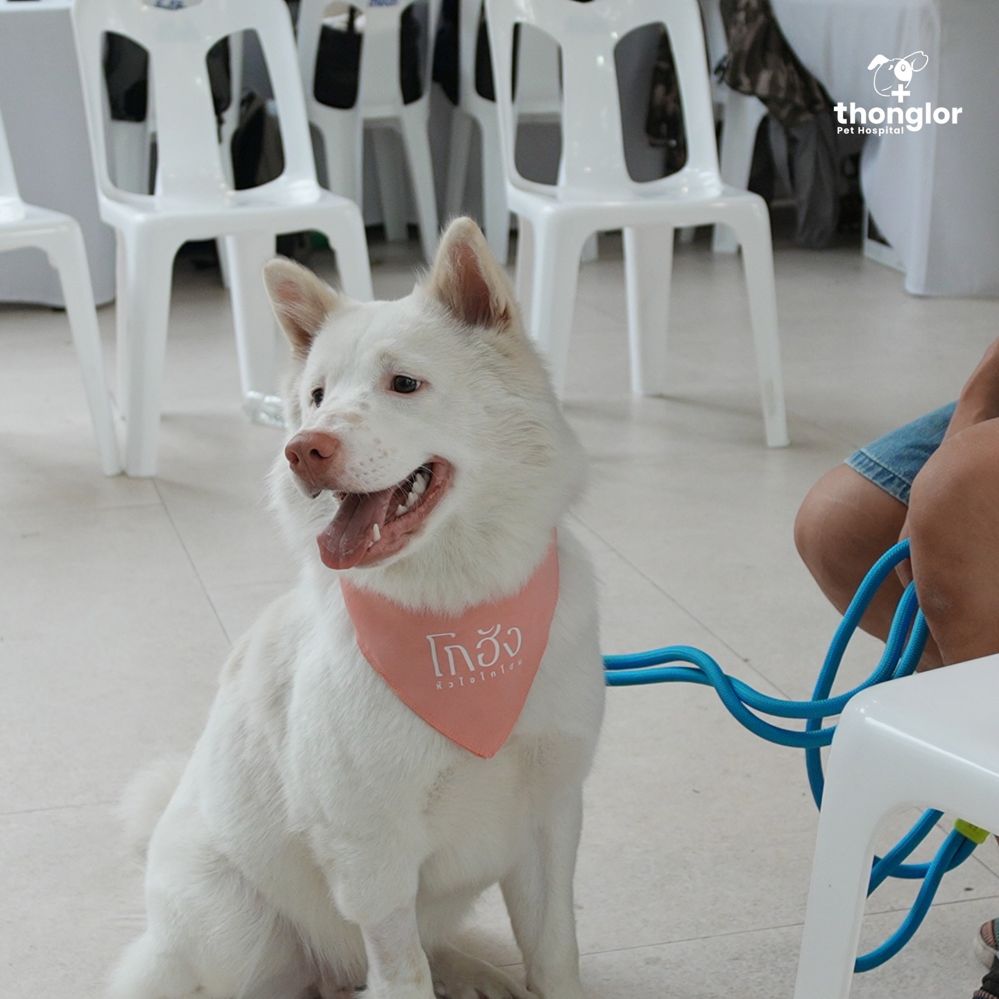 เก๋ - ชลลดา เมฆราตรี