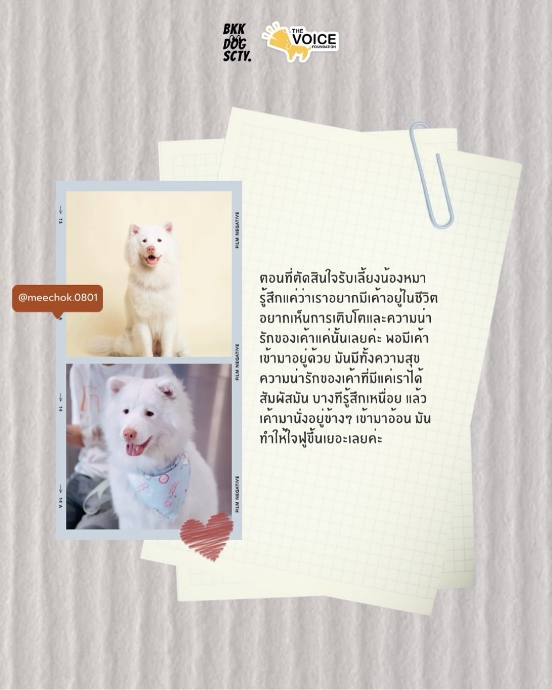 เก๋ - ชลลดา เมฆราตรี