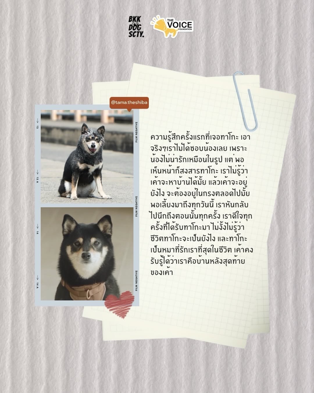 เก๋ - ชลลดา เมฆราตรี