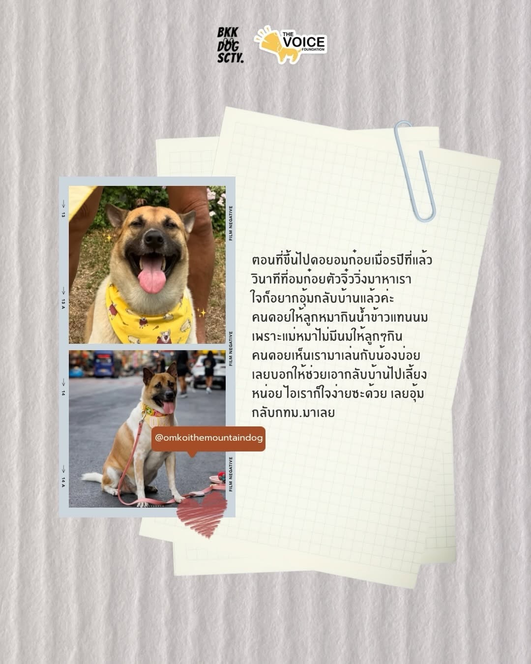 เก๋ - ชลลดา เมฆราตรี