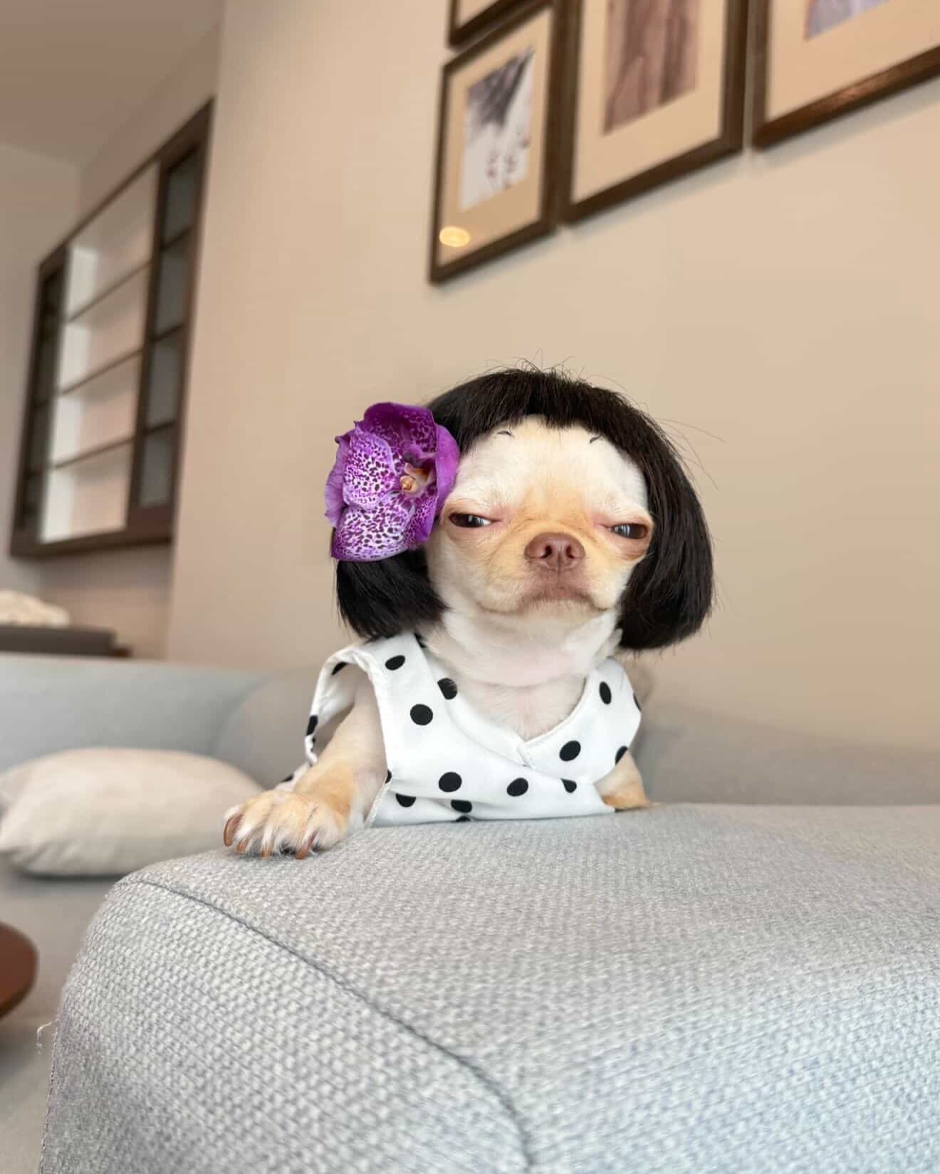 เก๋ - ชลลดา เมฆราตรี