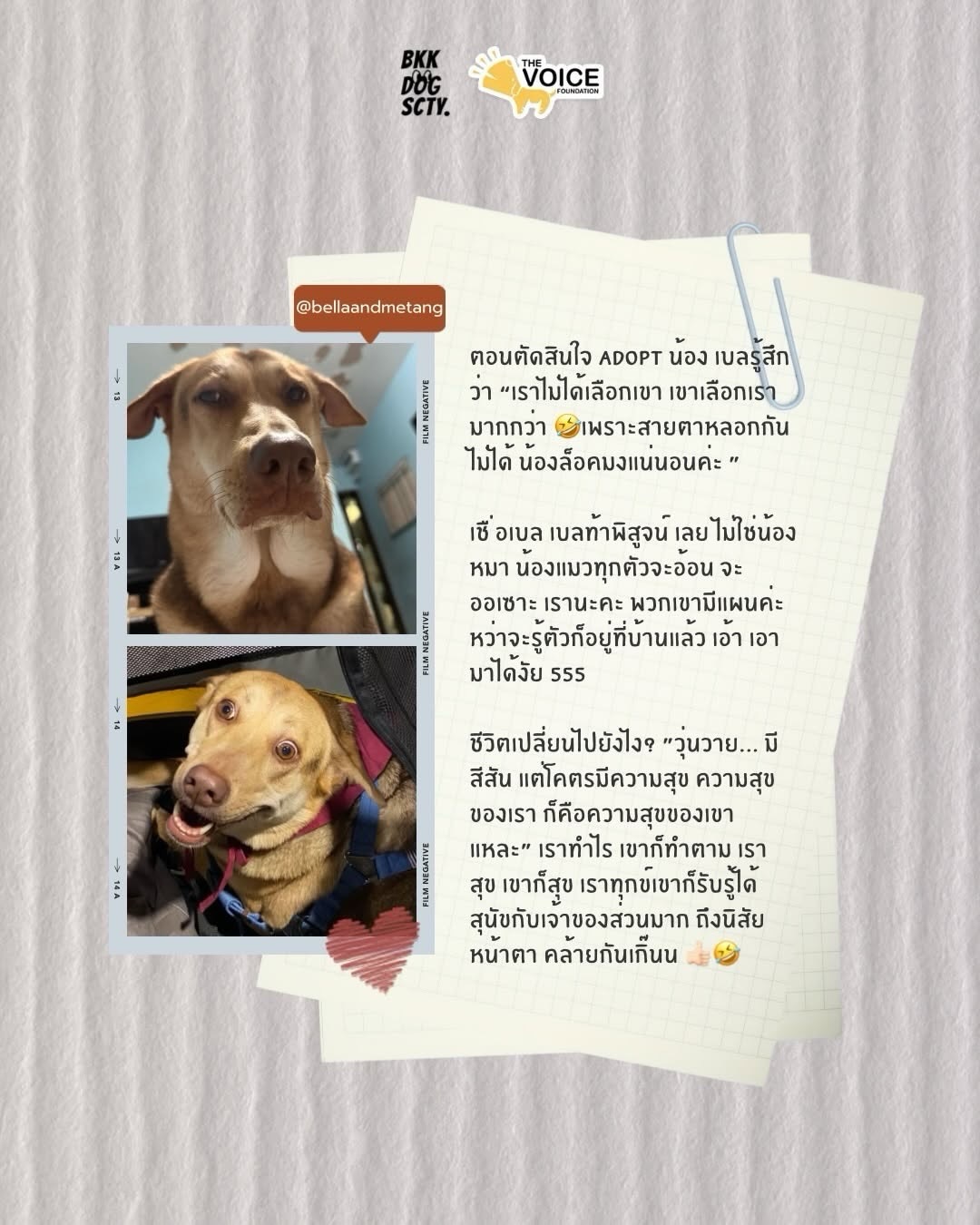 เก๋ - ชลลดา เมฆราตรี
