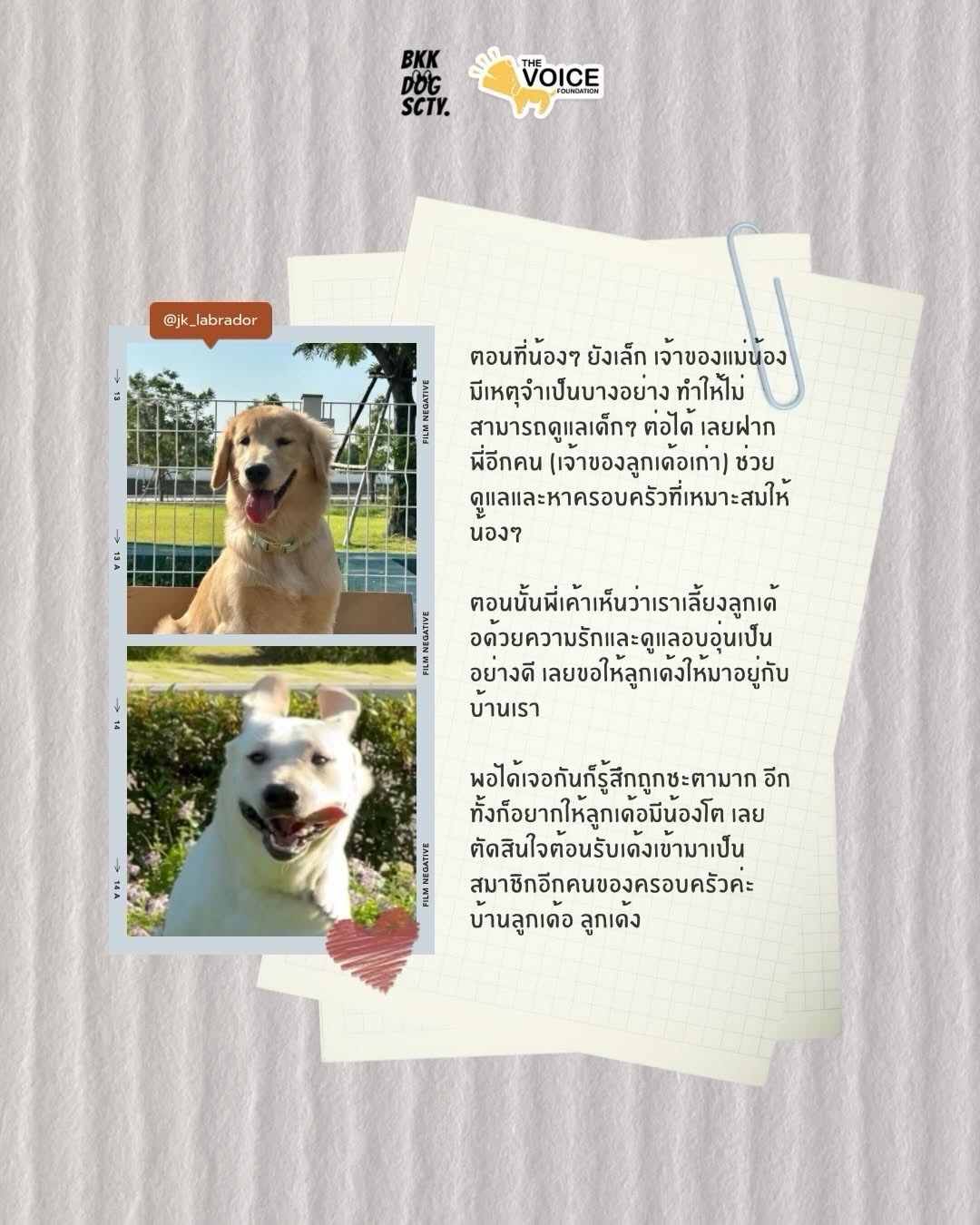 เก๋ - ชลลดา เมฆราตรี