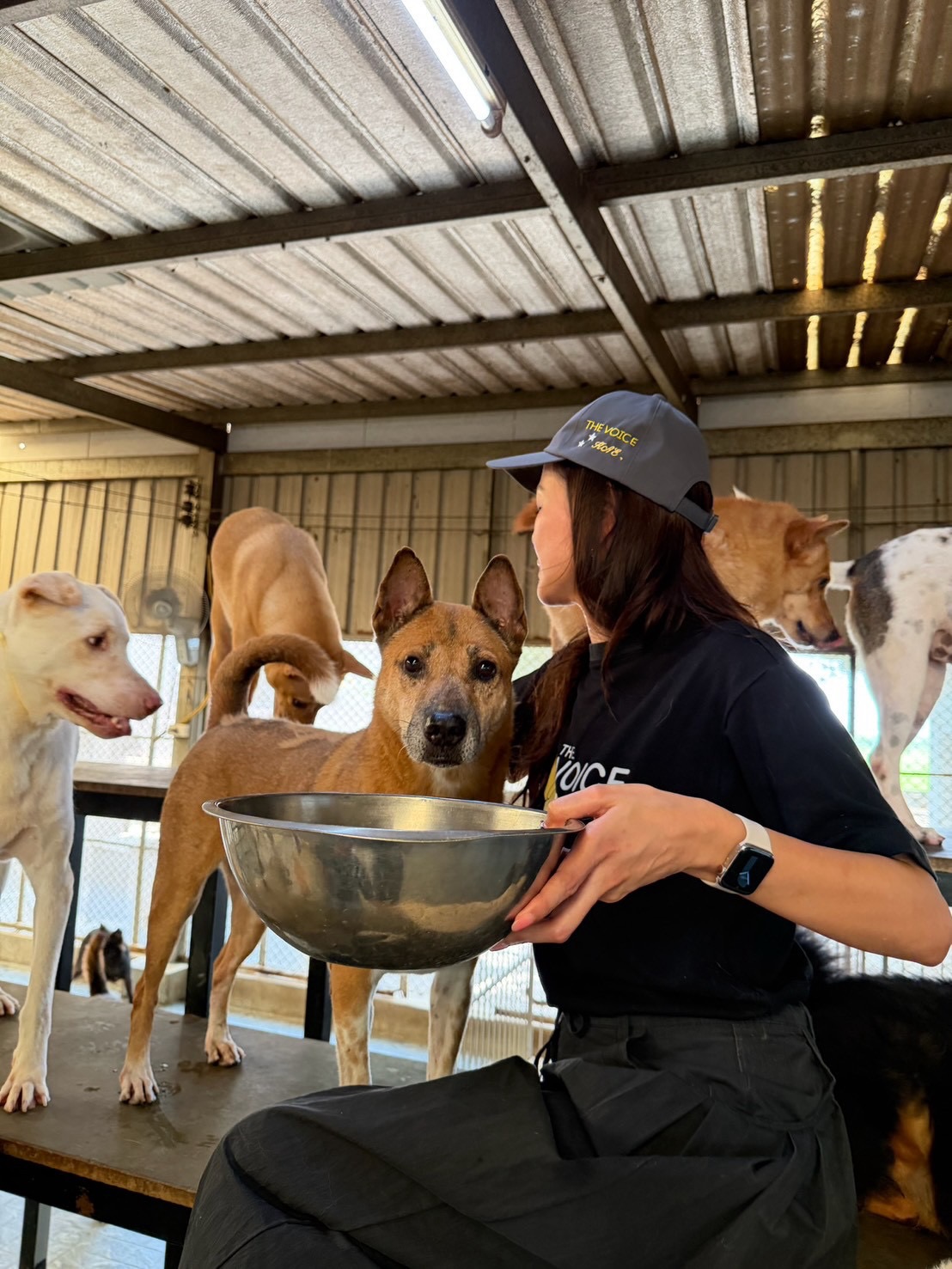 เก๋ - ชลลดา เมฆราตรี