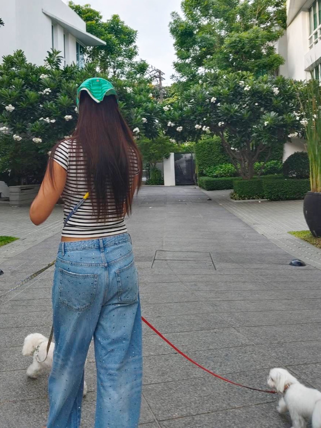 เก๋ - ชลลดา เมฆราตรี