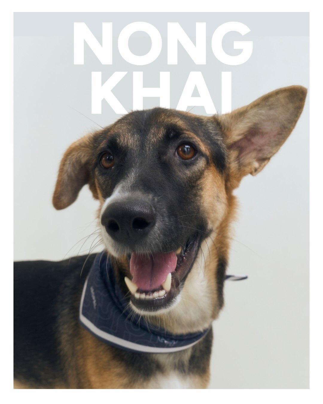 เก๋ - ชลลดา เมฆราตรี
