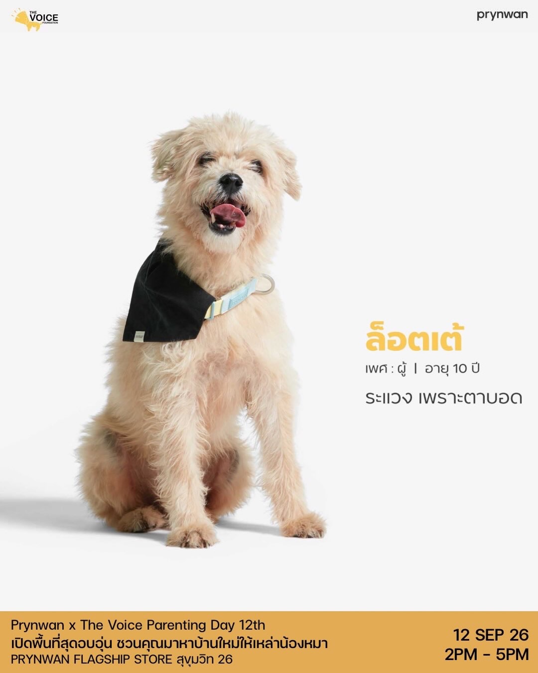 เก๋ - ชลลดา เมฆราตรี