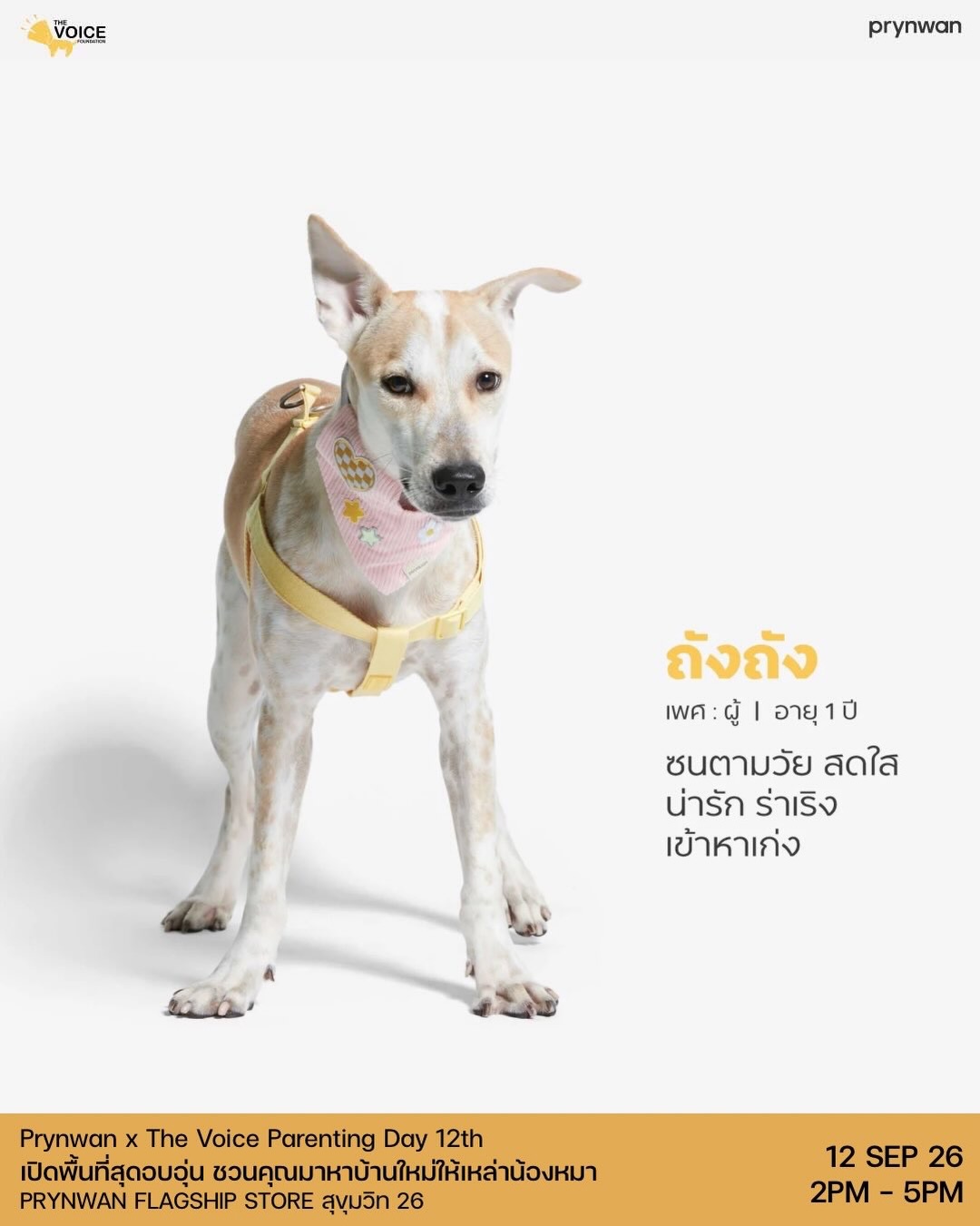 เก๋ - ชลลดา เมฆราตรี