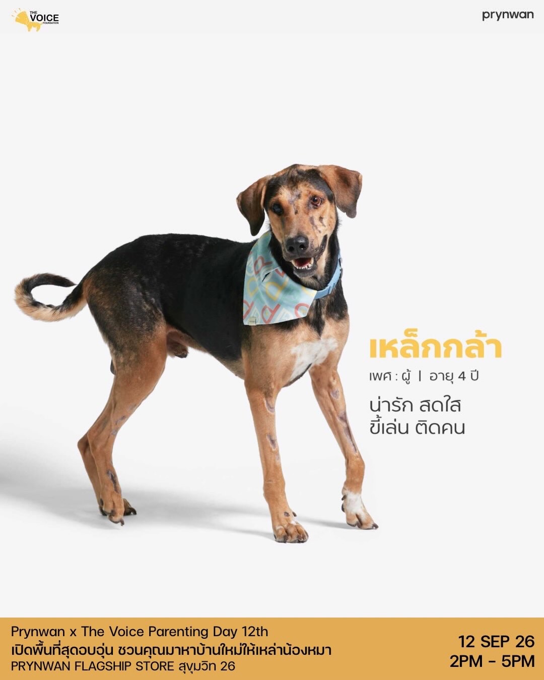 เก๋ - ชลลดา เมฆราตรี