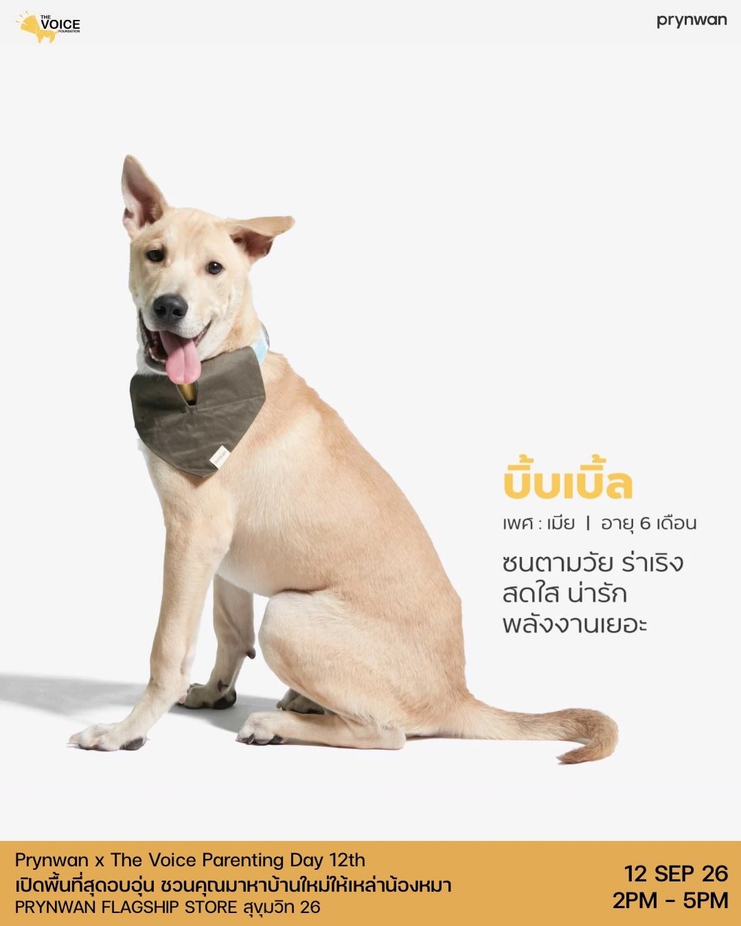 เก๋ - ชลลดา เมฆราตรี