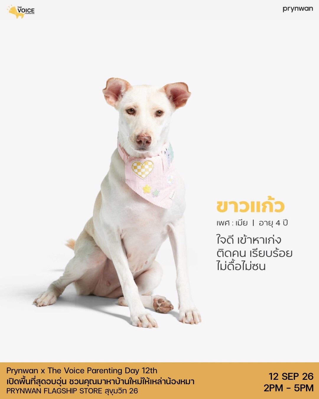 เก๋ - ชลลดา เมฆราตรี