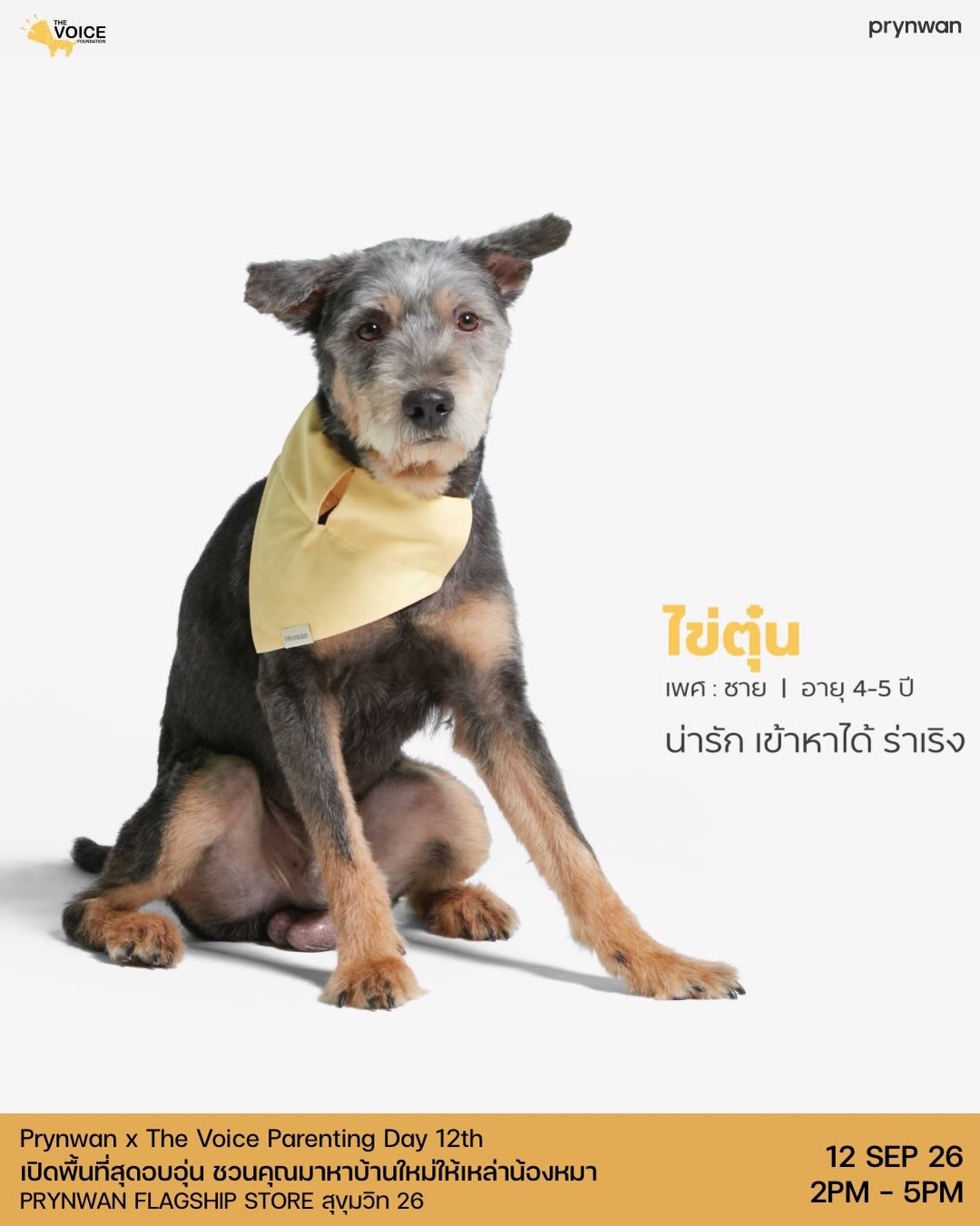 เก๋ - ชลลดา เมฆราตรี