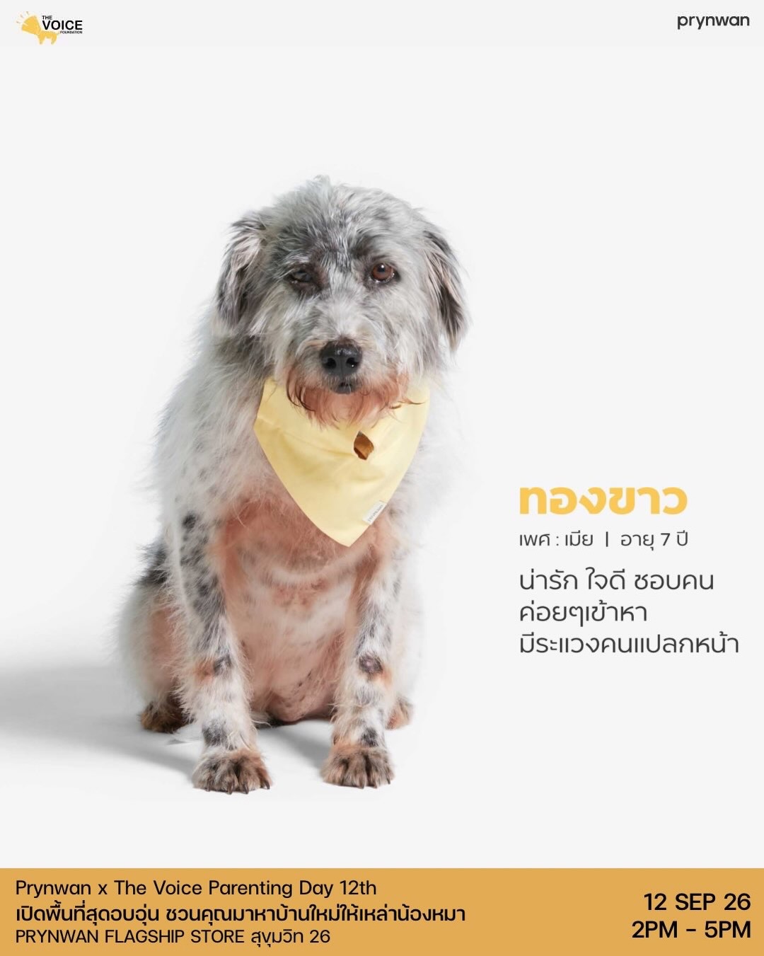 เก๋ - ชลลดา เมฆราตรี