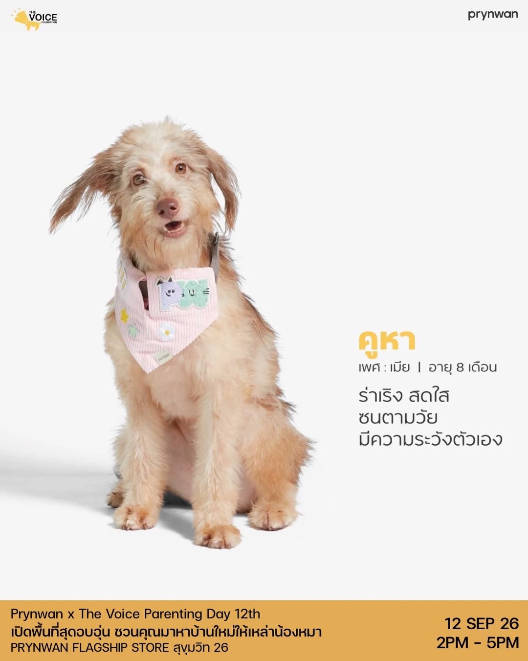 เก๋ - ชลลดา เมฆราตรี