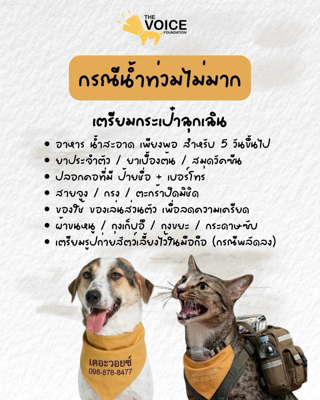 เก๋ - ชลลดา เมฆราตรี