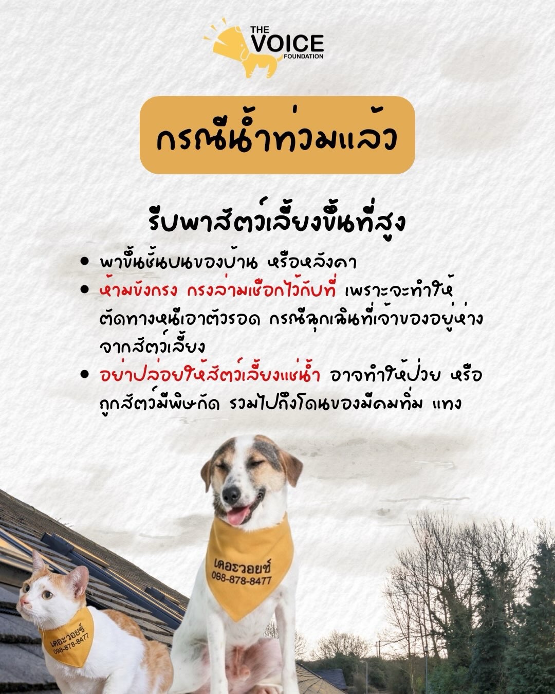 เก๋ - ชลลดา เมฆราตรี