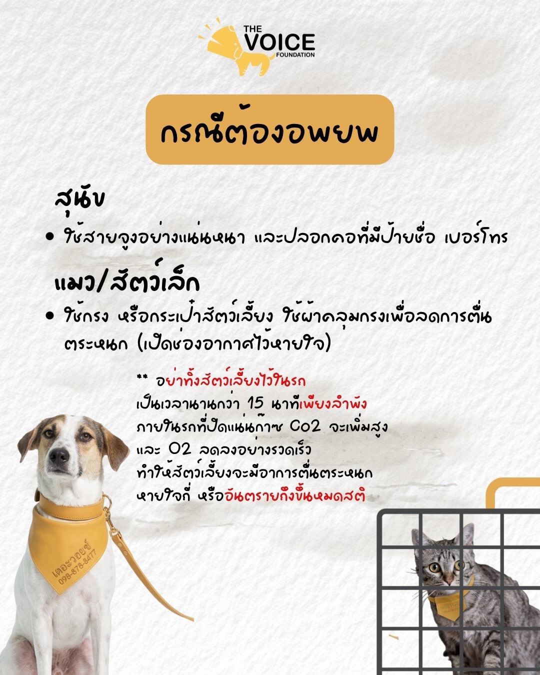 เก๋ - ชลลดา เมฆราตรี