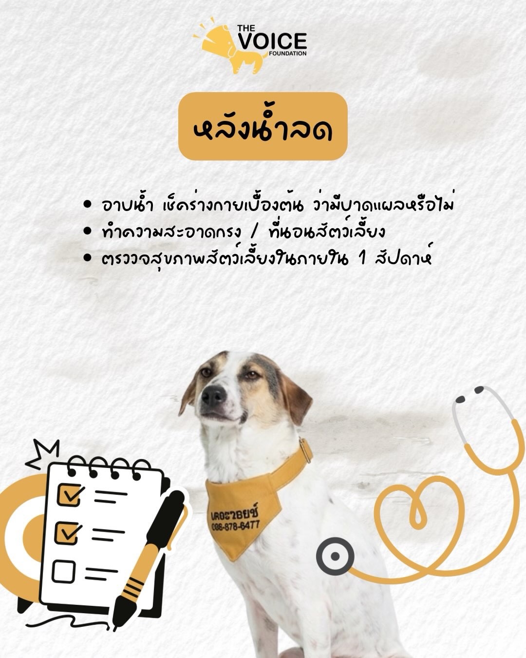 เก๋ - ชลลดา เมฆราตรี