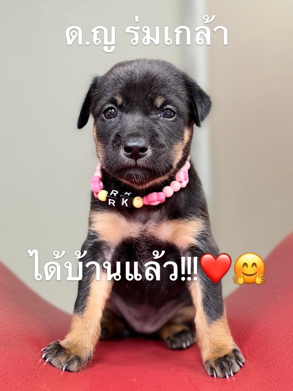 เก๋ - ชลลดา เมฆราตรี
