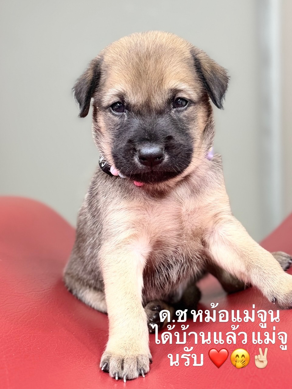 เก๋ - ชลลดา เมฆราตรี