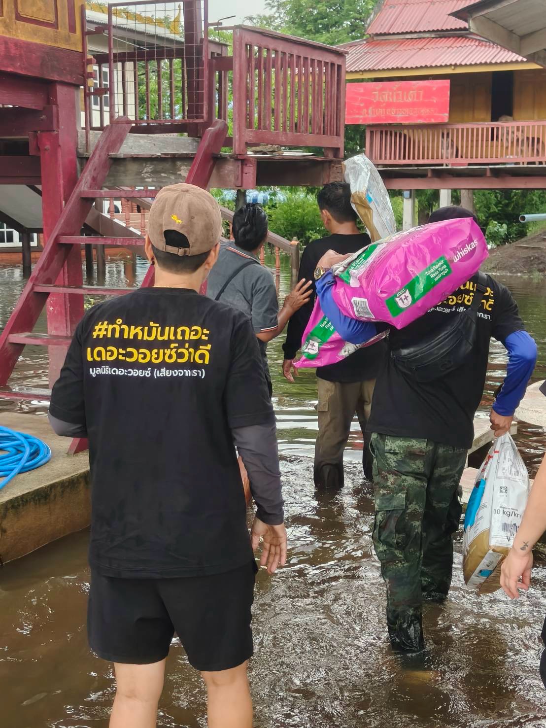 เก๋ - ชลลดา เมฆราตรี