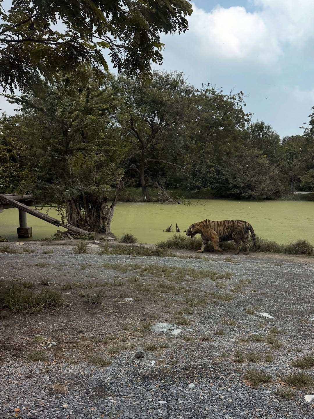 แอริน ยุกตะทัต