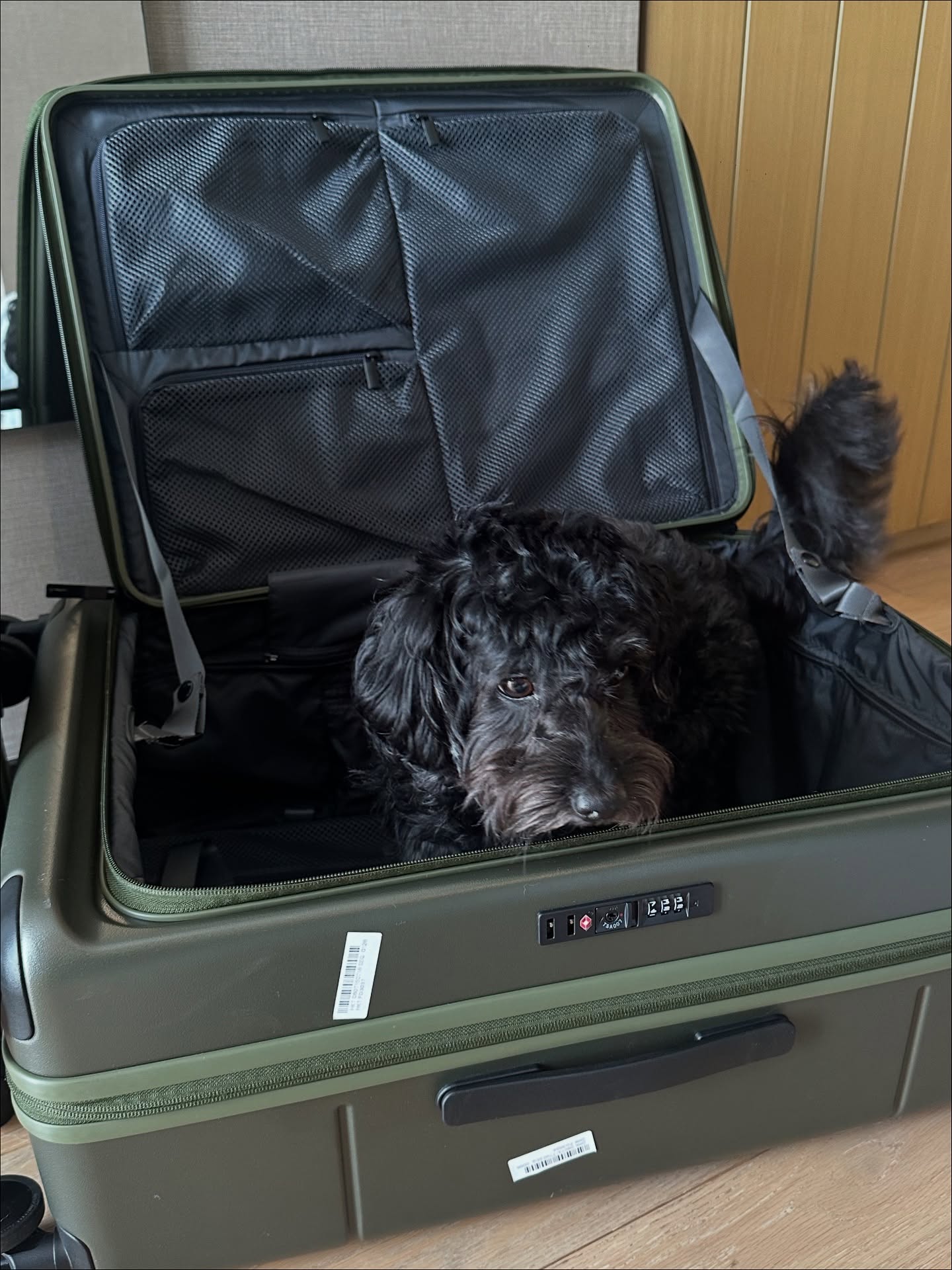 แอริน ยุกตะทัต