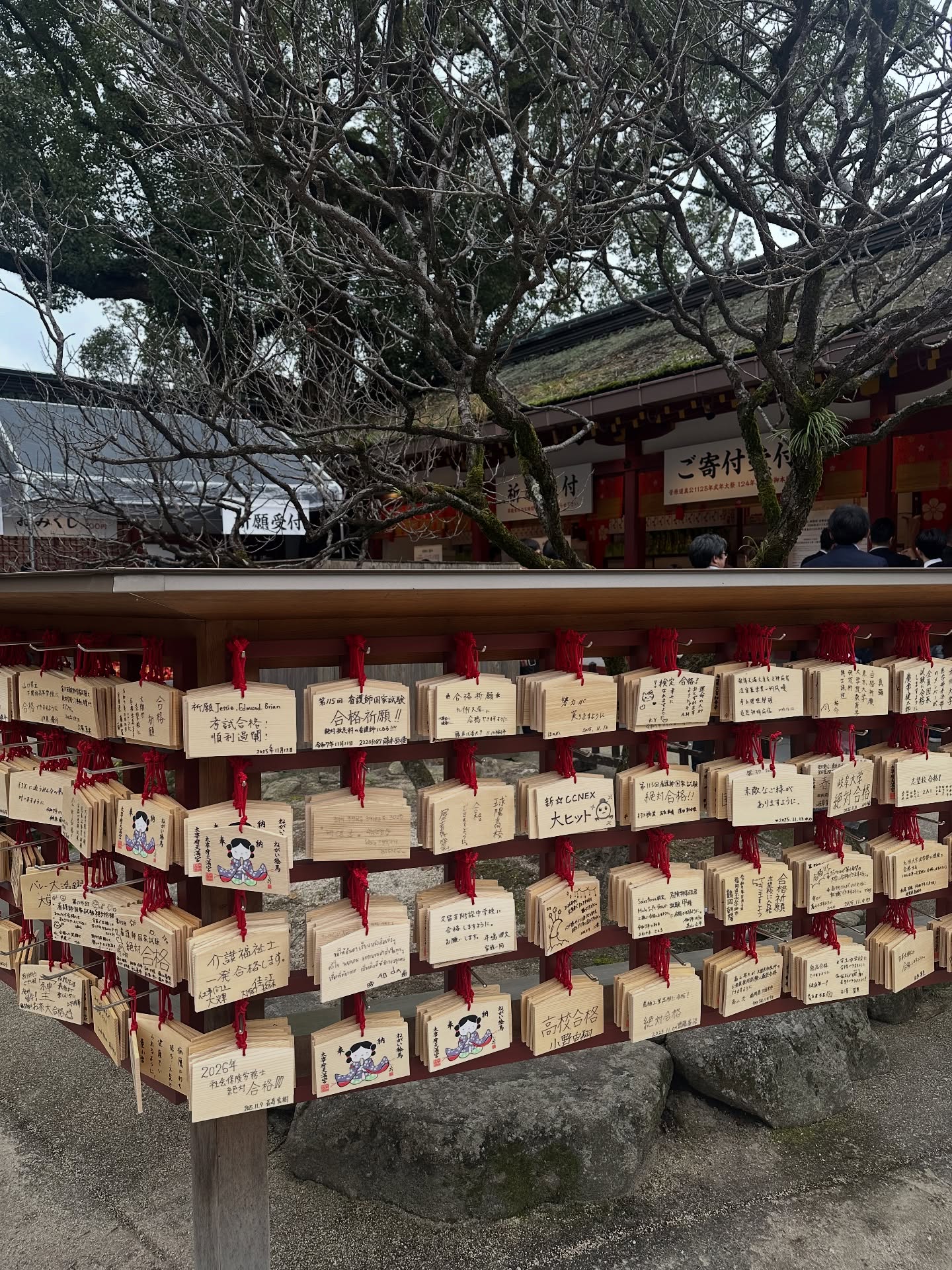 แอริน ยุกตะทัต