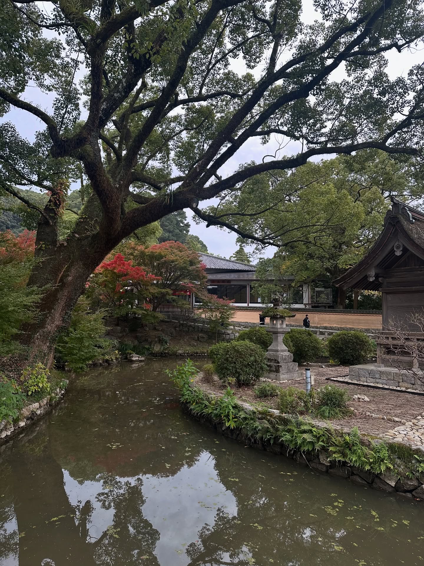 แอริน ยุกตะทัต