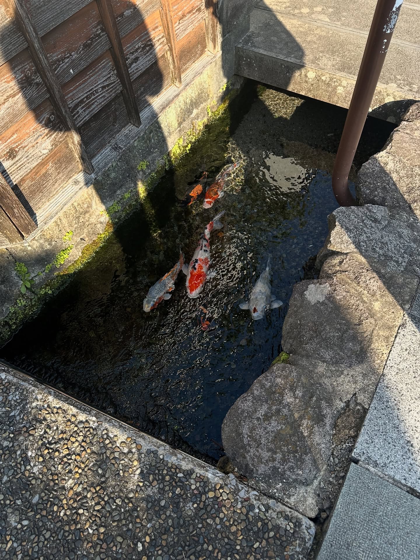 แอริน ยุกตะทัต