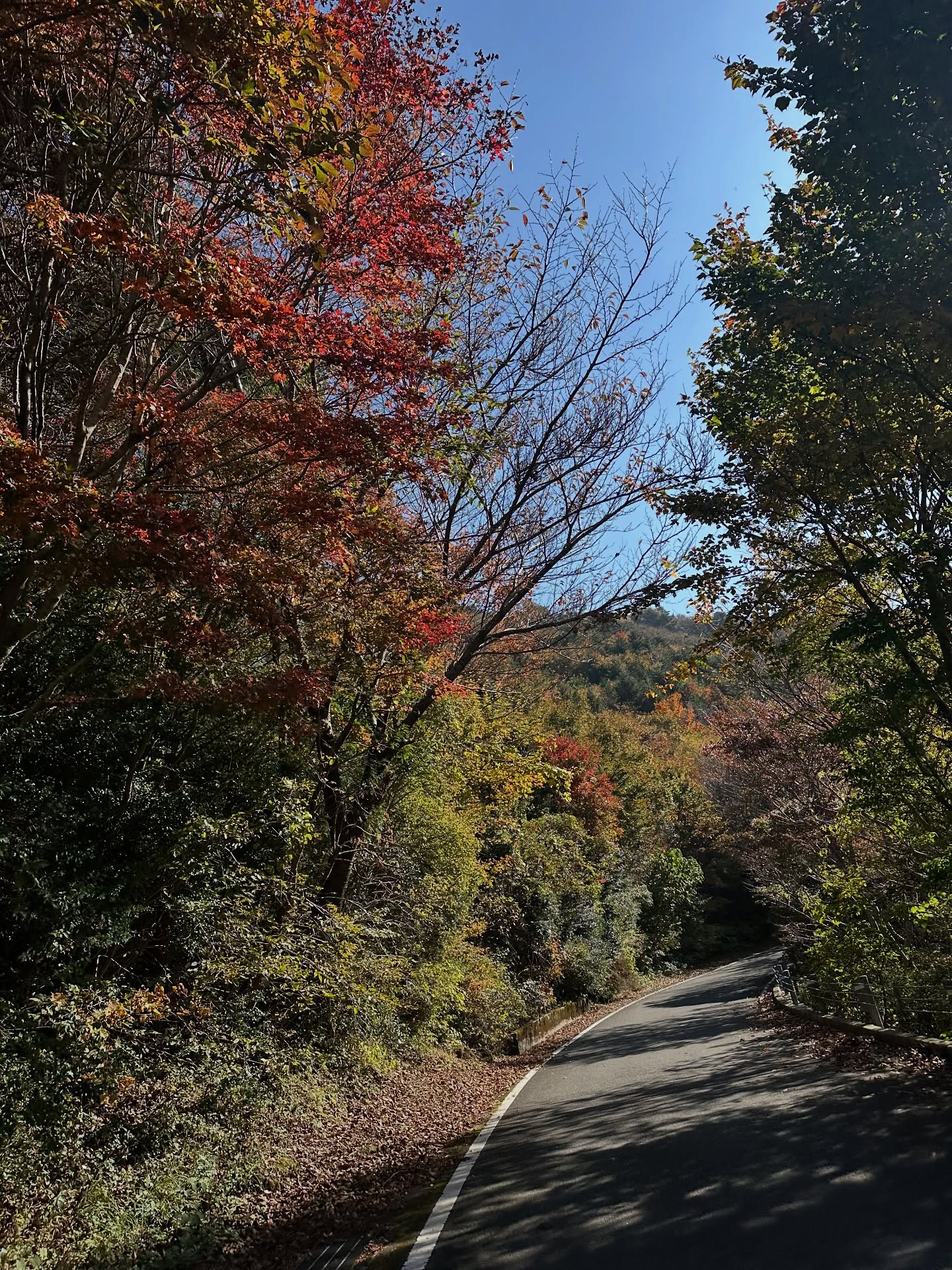 แอริน ยุกตะทัต