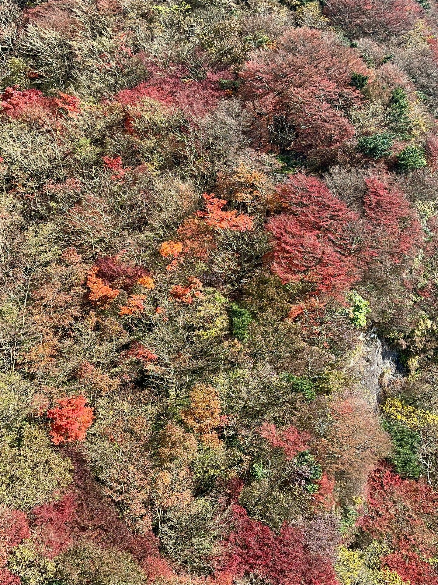 แอริน ยุกตะทัต