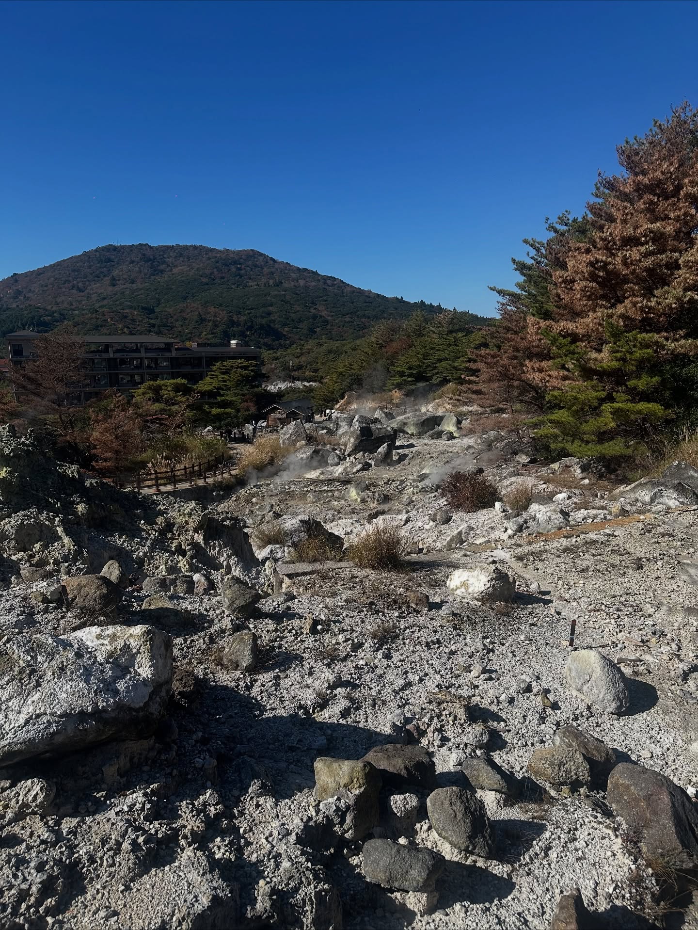 แอริน ยุกตะทัต